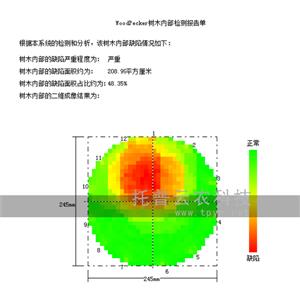 樹木無損檢測探傷儀