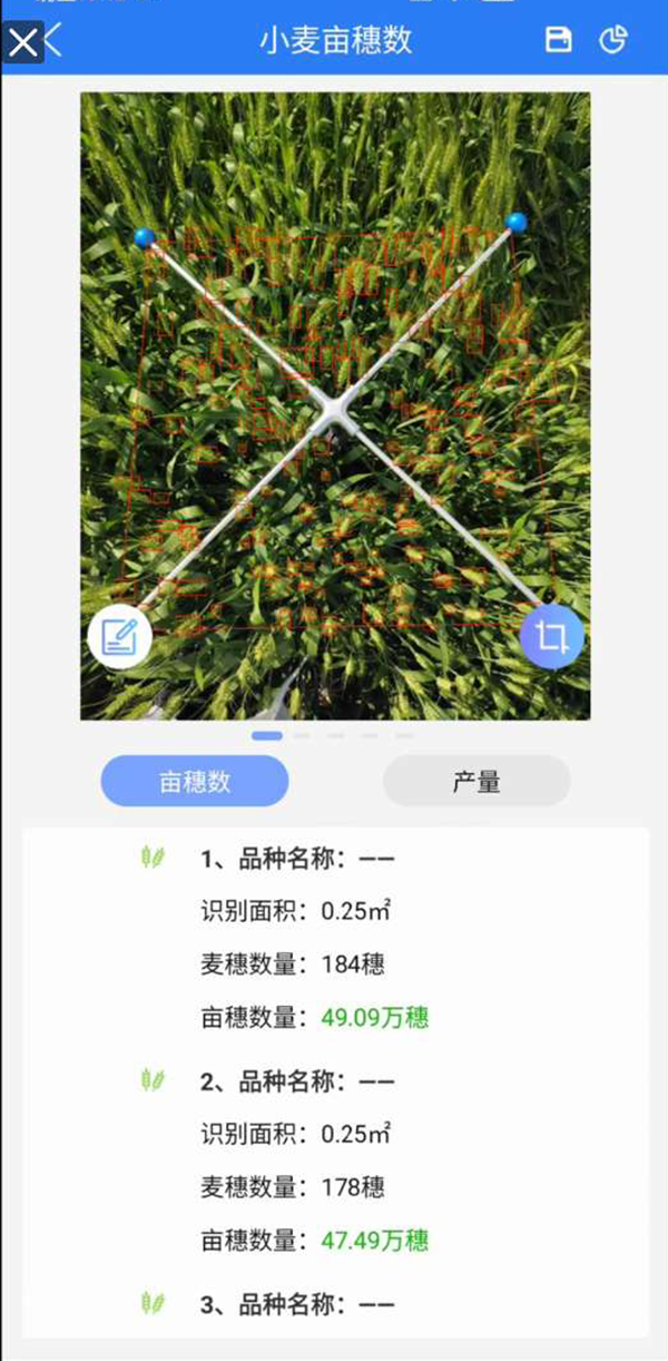 小麥畝穗數(shù)測(cè)量系統(tǒng)手機(jī)界面圖1