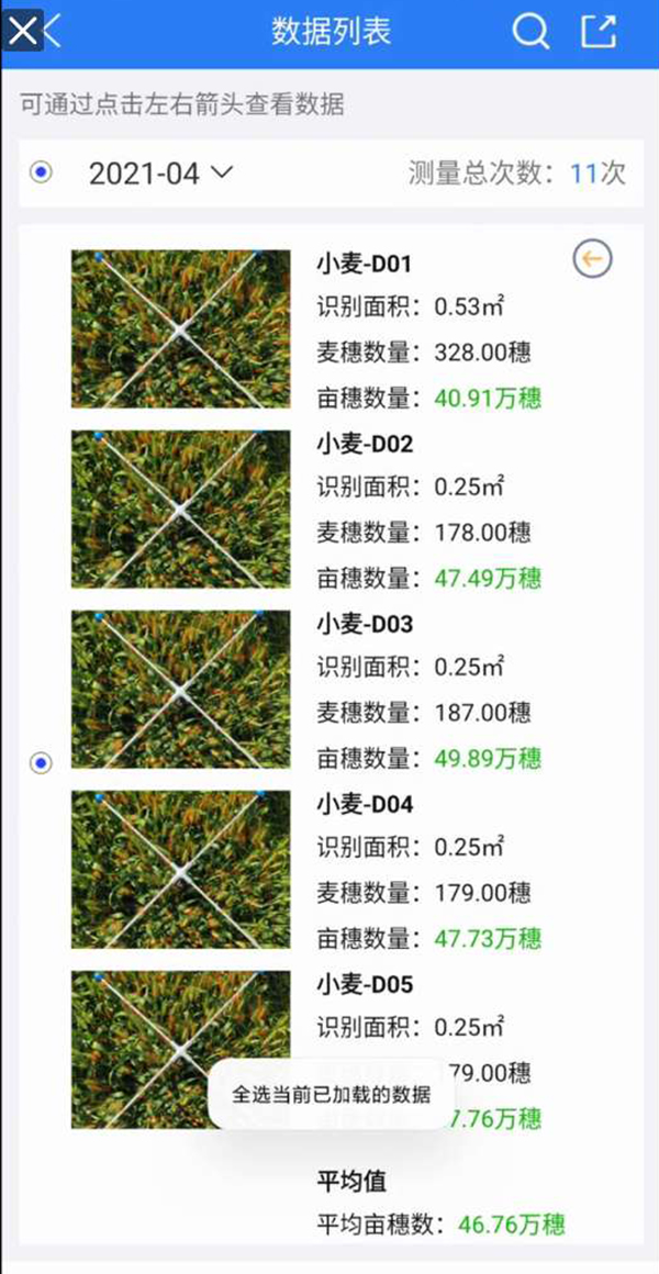 小麥畝穗數(shù)測(cè)量系統(tǒng)手機(jī)界面圖2