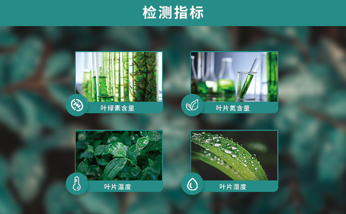 植物營養(yǎng)速測(cè)儀可檢測(cè)指標(biāo)