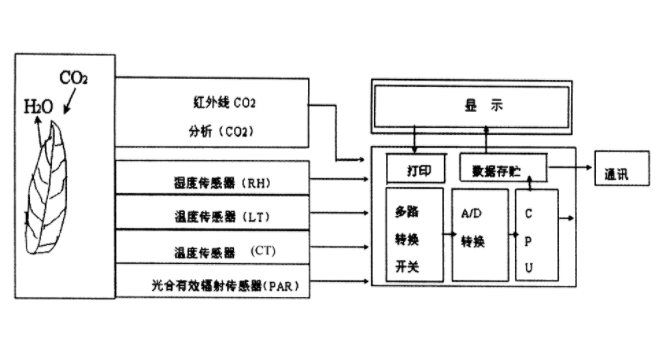 光合作用測定儀原理圖