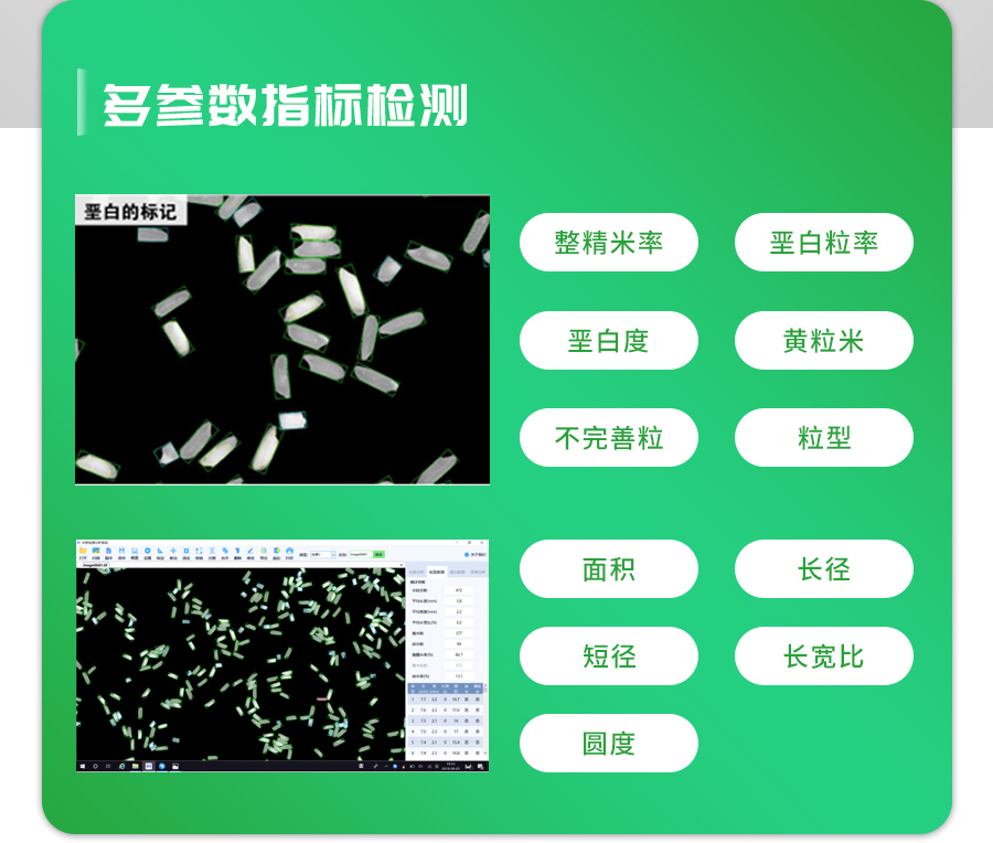 大米外觀品質(zhì)檢測儀