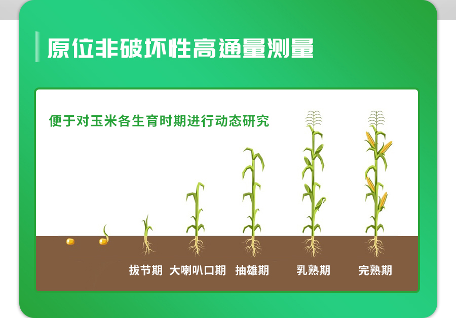 玉米表型檢測(cè)系統(tǒng)