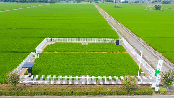 江蘇海門綠色農(nóng)田樣板區(qū)