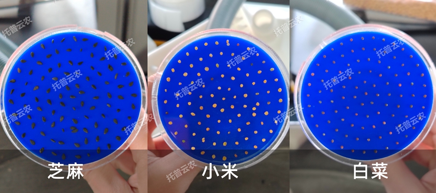 多功能真空數(shù)種置床臺(tái)/真空置床系統(tǒng)TP-SZC-60